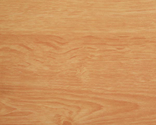 金象運動地板20517