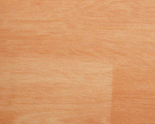 金象運(yùn)動(dòng)地板20518