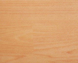 金象運(yùn)動(dòng)地板20518-1