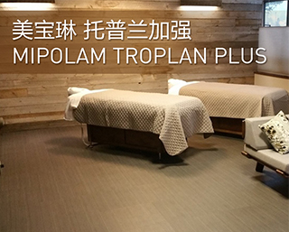 MIPOLAM 托普蘭加強(qiáng)