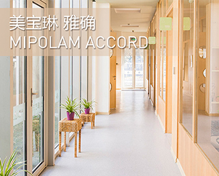 MIPOLAM ACCORD 雅確