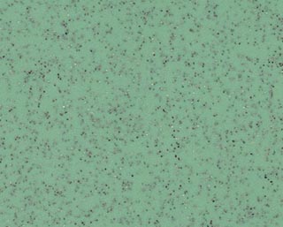 金剛砂 Crudum 克萊姆W2008