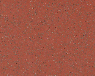 金剛砂 Crudum 克萊姆W2010