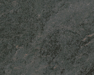 印花地磚（LVT）